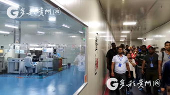 多彩貴州網(wǎng) 21國(guó)發(fā)展中國(guó)學(xué)員貴州“取經(jīng)” 聚焦計(jì)算機(jī)信息技術(shù)研發(fā)新動(dòng)態(tài)